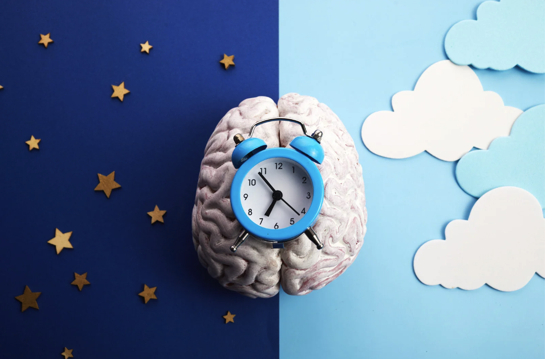 Rythme circadien et horloge biologique après 55 ans — Dormez Zen