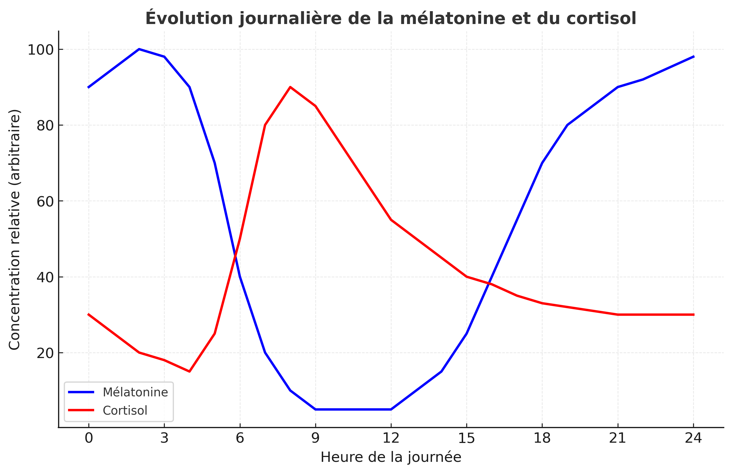 Évolution de la mélatonine et du cortisol sur 24 heures — Dormez Zen