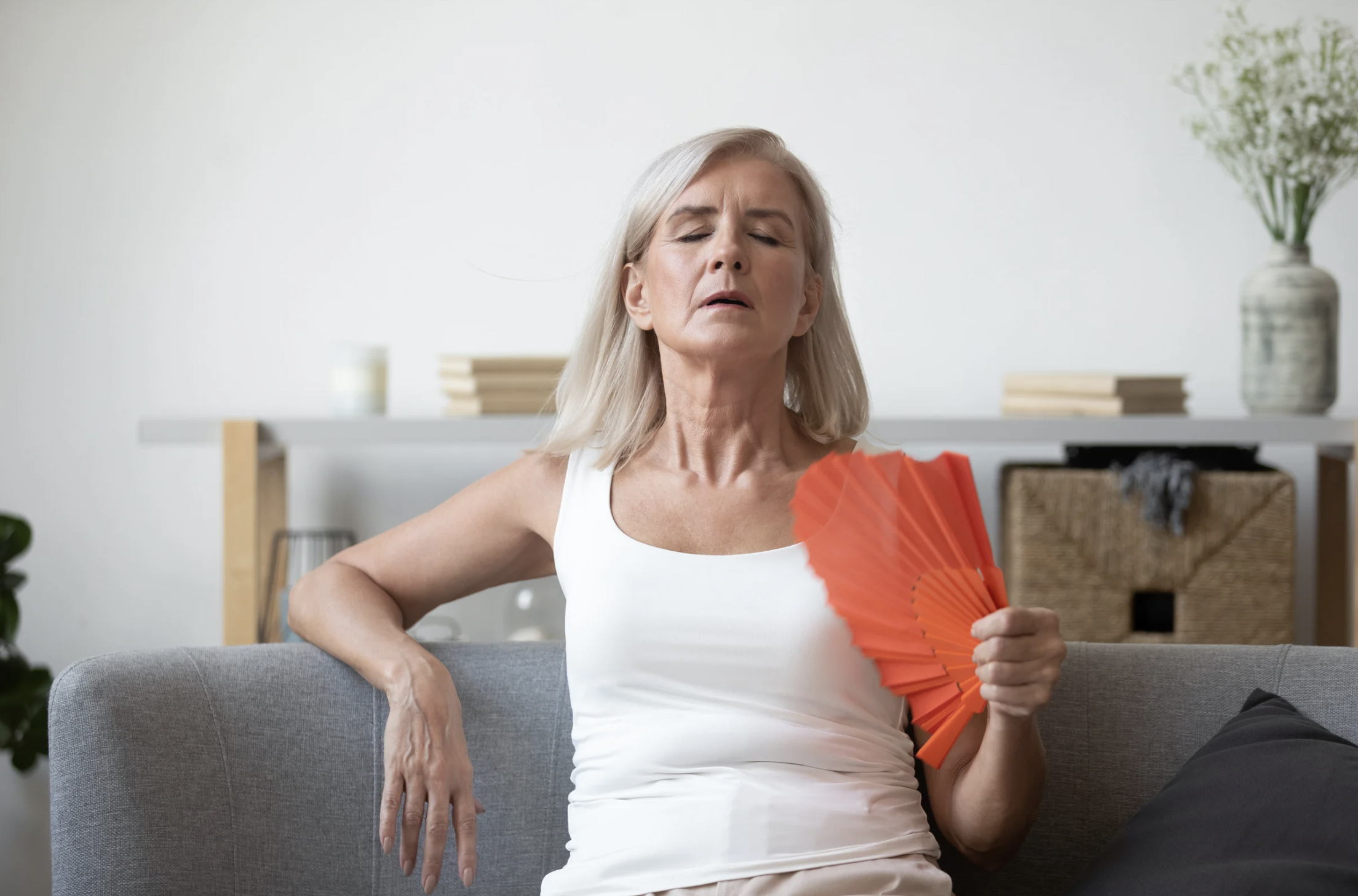 Étiquette et composition complète du complément alimentaire ménopause Nutri&Co — Libifem, trèfle rouge, actée à grappes