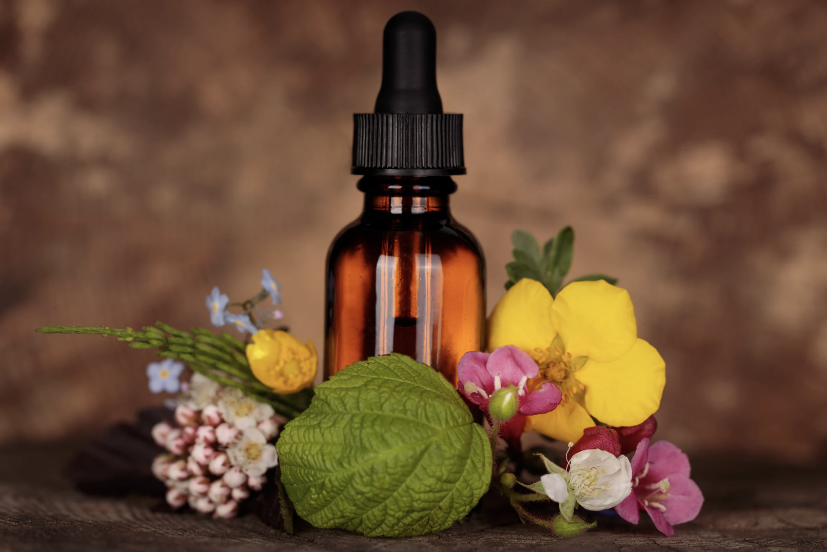 Fleurs de Bach ménopause — guide complet par Tony, coach sommeil, Dormez Zen 2026
